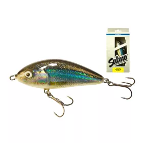Salmo Fatso F10F HLS 10cm 48gr Vobler