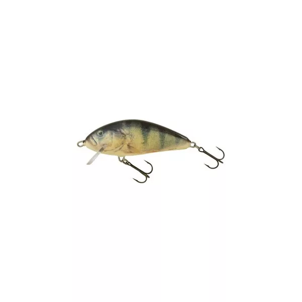Salmo Fatso F10S RPH 10cm 52gr Vobler
