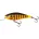 Salmo vobleri