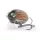 Salmo Vobler Lil Bug Vobler MBG 30mm - 4,3gr