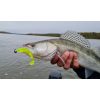 Nevis Impulse Shad 6,3cm 1,77gr 6kom/pak FluoZelena šljokice Plastična varalica