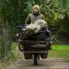 Avid Arctic-Series Sherpa Fleece Jakna L
