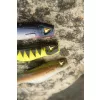 Black Cat Mega Curl Tail Eel 22cm 29gr Plastični mamac