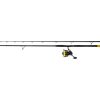 Black Cat Hard Core Combo Bank Rod 3,00m 600gr 2-dijelni Štap za lov soma Black Passion FD 80 S rolom i strunom