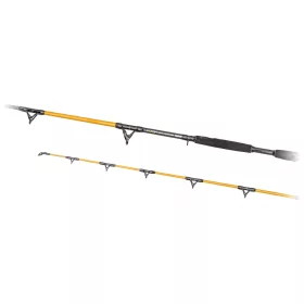   Predator Z Catzoom Brutal 3,00m 850gr Dvodijelni Štap za Soma
