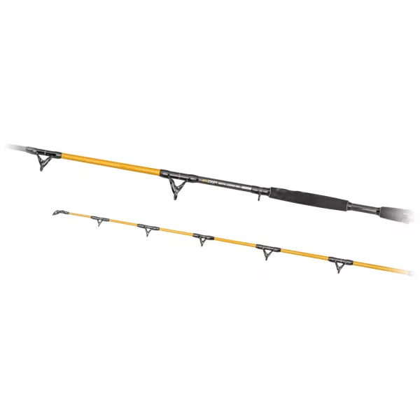 Predator Z Catzoom Brutal 3,30m 850gr 2-dijelni Štap za lov soma