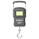 Carp Zoom USB Power Mérleg 75kg