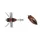 Duo Realis Shinmushi 4,0cm 5,7gr CCC3219 Beetle Imitacija Bube