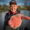 Fjuka Sensate™ Powder Fish Accelerant Crveni Pojačivač aktivnosti riba Atraktant Prah Crveno 100gr