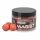 Anaconda Magist Balls 20mm Eper-Krém Pop Up 50gr