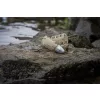 Matrix Plastic Orbit Feeder XS 15gr Bočna hranilica