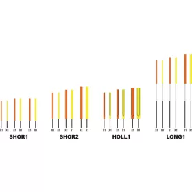   Garbolino WAGGLER COMPETITION SP W13 - CARBON kratki set šupljih antena / 1,5-2-2,5 mm /