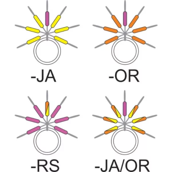 Garbolino - STREAMLINE ŠTAPNI VIZUALIZATOR LINIJE - Sitni pribor - Stoper - Gumeni stoper za pastrvu
