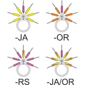   Garbolino - STREAMLINE ŠTAPNI VIZUALIZATOR LINIJE - Sitni pribor - Stoper - Gumeni stoper za pastrvu