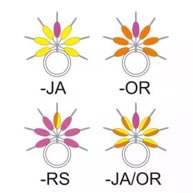   Garbolino - STREAMLINE KAPLJIČASTI VIZUALIZATOR LINIJE - Sitni pribor - Stoper - Gumeni stoper za pastrvu