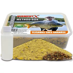   Haldorádó FermentX Method Box - Mliječno kiseli slatki ananas