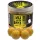 Haldorádó Max Motion Boilie Dipped Champion Corn 100gr 20mm Boilie