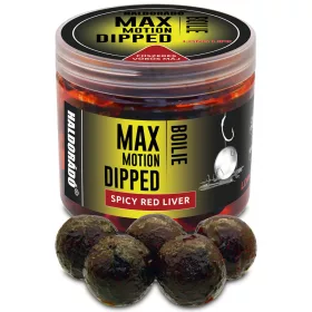   Haldorádó Max Motion Boilie Dipped Začinjena crvena jetra 100gr 20mm Boilie