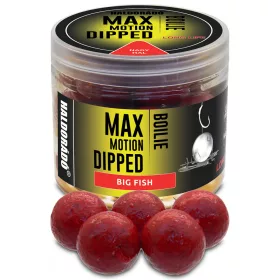   Haldorádó Max Motion Boilie Dipped Velika riba 100gr 20mm Boilie