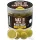 Haldorádó Max Motion Boilie Hard Hook Wafter 16, 20mm Champion Corn Mamčani Bojli 100gr