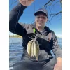 Haldorádó Catfish Rig 10 Pelletni Predvez za soma 100cm