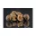 HNV Baits The Code 20mm Bojla 1kg