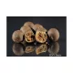 HNV Baits The Code 24mm Bojla 1kg