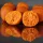 HNV Baits Fruits & Nuts Soluble Big Balls Hookbaits Topiva kuka 30mm 165gr
