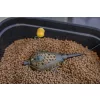 Korum Camo Grub Feeder Košarica za crve 60gr