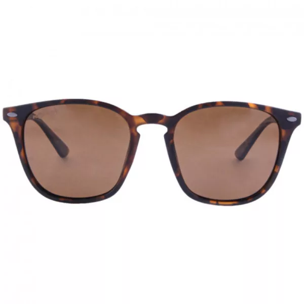 Korda - Shoreditch Matt Toroise Shell/Brown Lens Polarizirane - Sunčane naočale - Proljetna odjeća, Ljetna odjeća - Naočale
