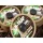 Korda N-Trap Semi Stiff 15lb Gravel Brown - predvez za boile