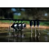 Korda Kaizen Platinum 3,60m 6in 4,00lb 2-dijelni štap za boile