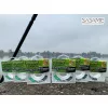 Sasame Fluoro Carbon Superfine Víztiszta 0,23mm 50m Fluorocarbon Előkezsinór