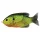 Livetarget Sunfish Walking Bait Florescent Pumpkinseed 7,5cm 12gr Mamac za sunčanicu