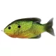 Livetarget Sunfish Walking Bait Florescent Pumpkinseed 7,5cm 12gr Mamac za sunčanicu