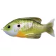 Livetarget Sunfish Walking Bait Prirodni/Zeleni Bluegill 90Mm 18G