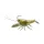 Livetarget Live Craw Finess Bait Moss 6,3cm 11gr Plastična Varalica