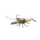 Livetarget Live Craw Finess Bait Prirodna 6,3cm 11gr Plastična Varalica