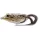 Livetarget Frog Walking Bait Tan/Brown 11,7cm 25gr Imitacija Žabe