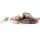 Livetarget Goby Paddletail Rigged Brown-Chartreuse 7,1cm 10gr Süllyedő Gumihal