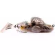 Livetarget Goby Paddletail Rigged Brown-Chartreuse 7,1cm 10gr Süllyedő Gumihal