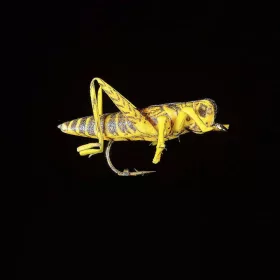 JMC Sauterelle 22 H8 - PCB 6 umjetna muha