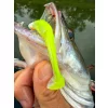 Fox Rage Scent Shads Bulk Chartreuse Ayu 9cm Plastični mamac