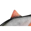 Fox Rage Ultra Realistic Roach Replicant Plastični Mamac Bodorka 14cm 45gr