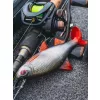 Fox Rage Ultra Realistic Roach Replicant Plastični Mamac Bodorka 14cm 45gr