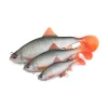 Fox Rage Ultra Realistic Roach Replicant Plastični Mamac Bodorka 14cm 45gr