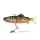 Fox Rage Jointed Replicants 32cm Orange Belly Perch UV umjetni mamac