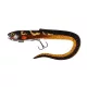 Fox Rage Slick Eel Loaded 35cm UV Perch Plastična varalica