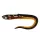 Fox Rage Slick Eel Burbot Plastični mamac 21cm 1 kom