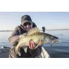 Fox Rage Bulk Loaded Slick Shads UV Arkansas Shiner 13cm 4/0 15gr Plastični Mamac